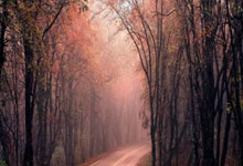 欧博官网：付费可下载他人参赛影像？参赛者质疑！横琴马拉松主办方回应.