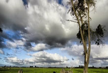 范戴克：这是艰难且令人失望的一周；祝贺纽卡夺冠.
