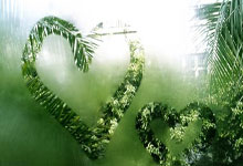 欧冠-拉菲尼亚2射1传亚马尔建功 巴萨总分4-1本菲卡进8强.