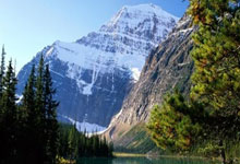 马卡：巴西足协可能本周五解雇多里瓦尔，目标仍是安切洛蒂.