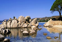 [CBA]北汽击败青岛取得七连胜.